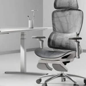 Black and White P53 Computer Chair